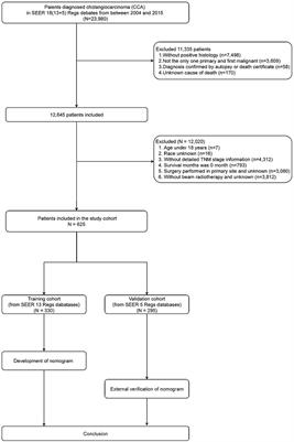 Development and validation of a nomogram to predict cancer-specific survival with unresected cholangiocarcinoma undergoing external radiotherapy